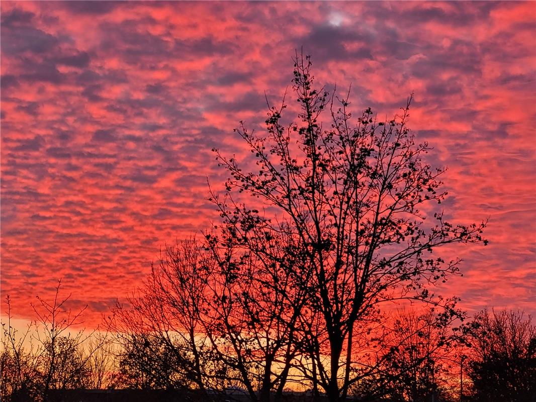 Himmel in Flammen: Das Abendrot am 11. Januar in Nebringen beeindruckte Helga-Li...