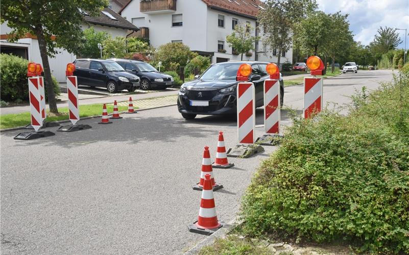 Hindernisse sollen Autofahrer in der Etzwiesenallee ausbremsen
