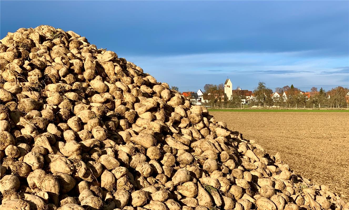 Hinter den Gäu-Höhen kommt Öschelbronn in Sicht, sagt Minja Rollinson zu diesem ...