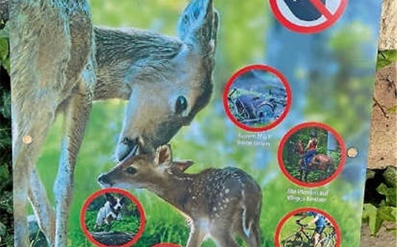 Hinweisschilder im Wald bei Nufringen nach der tödlichen Hetzjagd eines Hundes auf eine trächtige Ricke. GB-Foto: gb