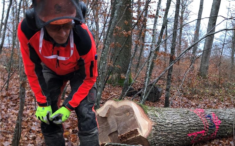 Höhere Holzverkaufspreise führten zu höheren Einnahmen. GB-Foto: gb