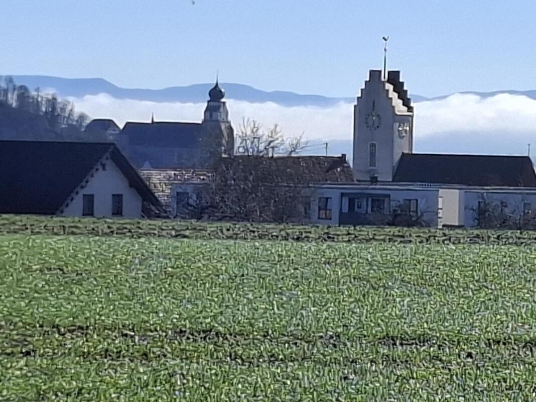 Hoffnung.  Von Maria Tabitha Weisse aus Herrenberg.