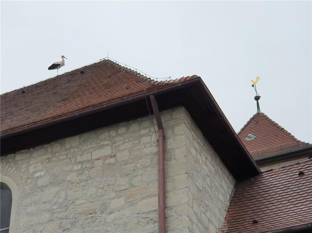 Hoher Besuch in Mönchberg, Am Abend des 3. März zückte Mattin Schindelin die Kam...