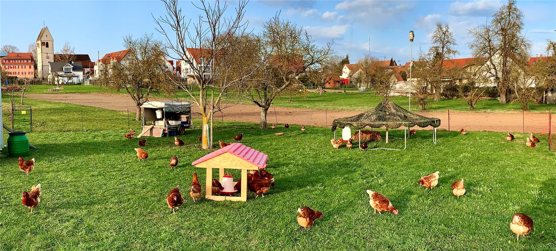 "Holiday Resort für Hühner - Ortsrandlage" hat Minja Rollinson aus Gäufelden die...