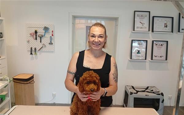 Hundesalon in der Fußgängerzone nach bürokratischen Hürden