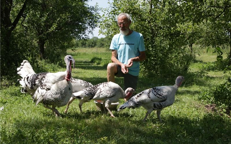 Idylle neben der Ammer: Wilhelm Brenner füttert seine Cröllwitzer Truthähne GB-Foto: Bäuerle