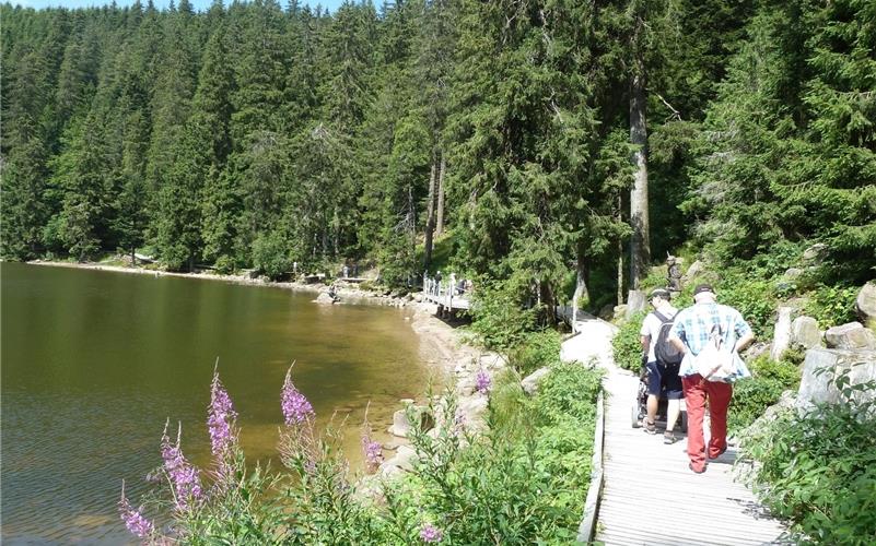 Idyllisch: Am Mummelsee entlang. GB-Foto: Schwarzwald-Tourismus GmbH