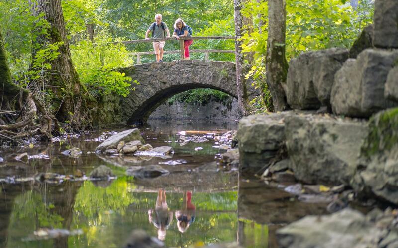 Idyllisch: Brücke bei BAd Niedrnau-GB-Foto: fruechtetrauf-bw.de