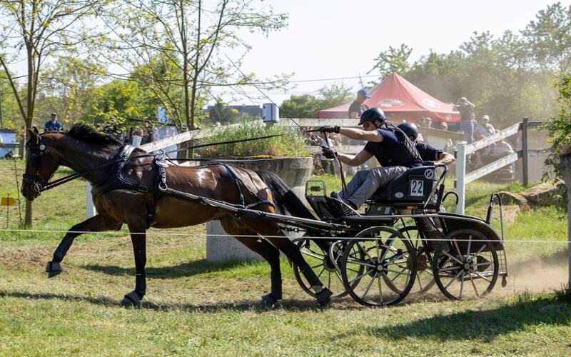 Im Gelände wurde Calida noch ein wenig geschont. GB-Foto: Häusler