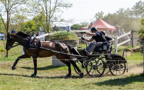 Im Gelände wurde Calida noch ein wenig geschont. GB-Foto: Häusler