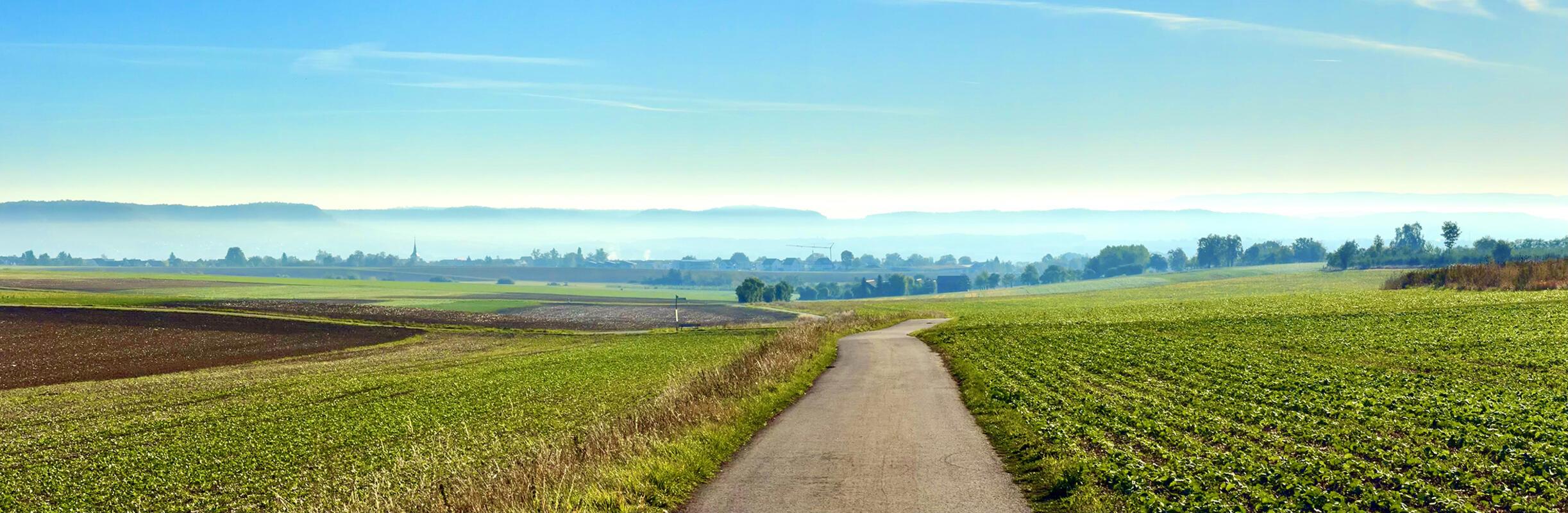 Im Herbst dem Horizont entgegen.  Von Minja Rollinson aus Gäufelden.