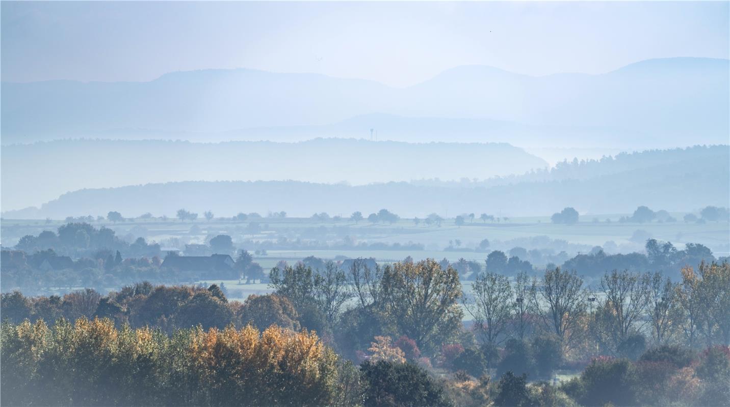 Im Morgenlicht. Von Monika Suhm aus Gärtringen.