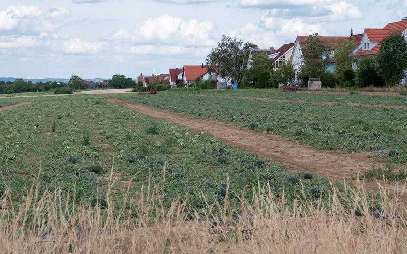 Im Norden Bondorfs soll weiterer Wohnraum entstehen, angrenzend an die dortige Bebauung. GB-Foto: Vecsey