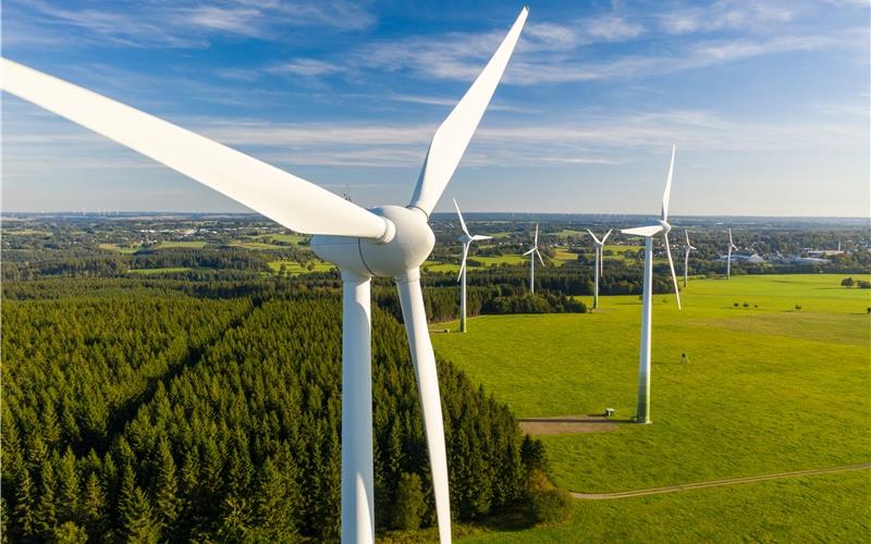 Im Rottenburger Stadtwald könnten acht Windenergieanlagen eine Heimat finden. GB-Foto: engel.ac – stock.adobe.com