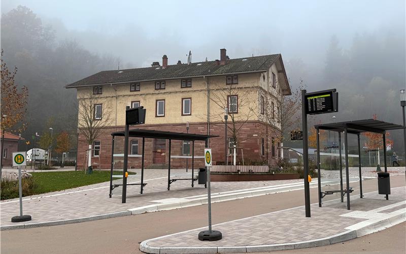 Im Sanierungsgebiet „Zentrum Unterstadt Wildberg“ sind schon etliche Maßnahmen gelaufen – das alte Bahnhofsgebäude steht aber immer noch zum Verkauf. GB-Foto: Priestersbach