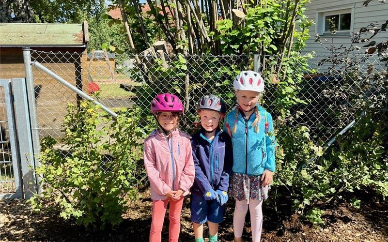 Im Sommer: Naschen erlaubt. GB-Foto: Tom Michael