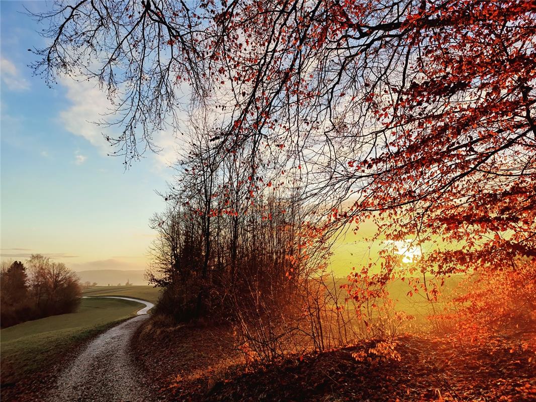 Im Wald bei Kuppingen  begrüßten sich Eva  Althoff-Nüßle und die Sonne. 