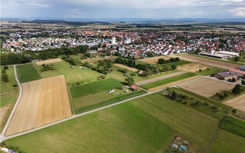 Im Westen der Gemeinde findet sich eine von zwei Potenzialflächen für Weiterentwicklung. GB-Foto: Holom