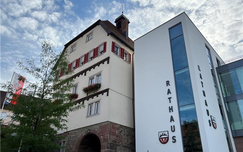 Im Wildberger Rathaus soll in diesem Jahr der Ertragsbereich der Schäferlaufstadt beleuchtet werden. GB-Foto: Priestersbach