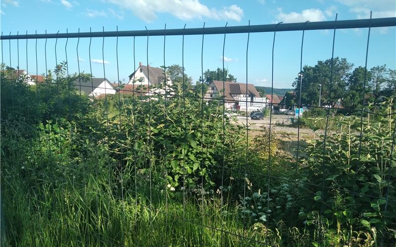 Neue Ortsmitte Gärtringen: Äußere Erschließung beginnt Im ersten Schritt wird die Baustellenzufahrt überwiegend über den Rohrweg erfolgen. GB-Foto: gb