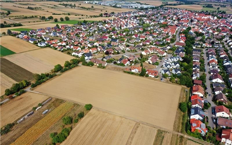 Im nächsten Schritt stehen die Erschließung des Gebiets und die Grundstücksvermessung an. GB-Foto (Archiv): Holom
