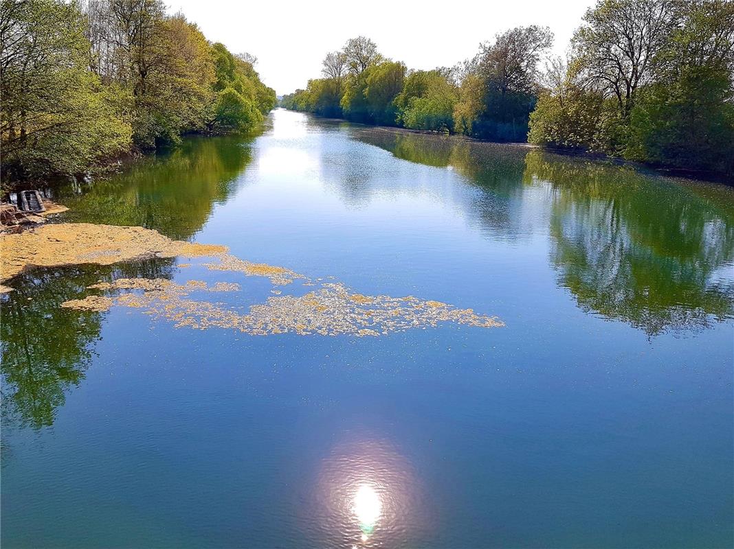 Impressionen beim Radeln bei Hirschau am Neckar entlang schickt die Bondorferin ...