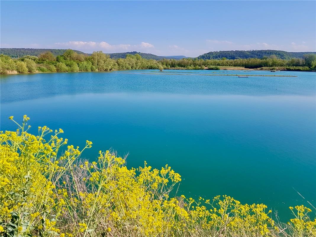 In Hirschau fand die Bondorferin Ivonne Wetzstein dieses Idyll. und fragt: "Waru...