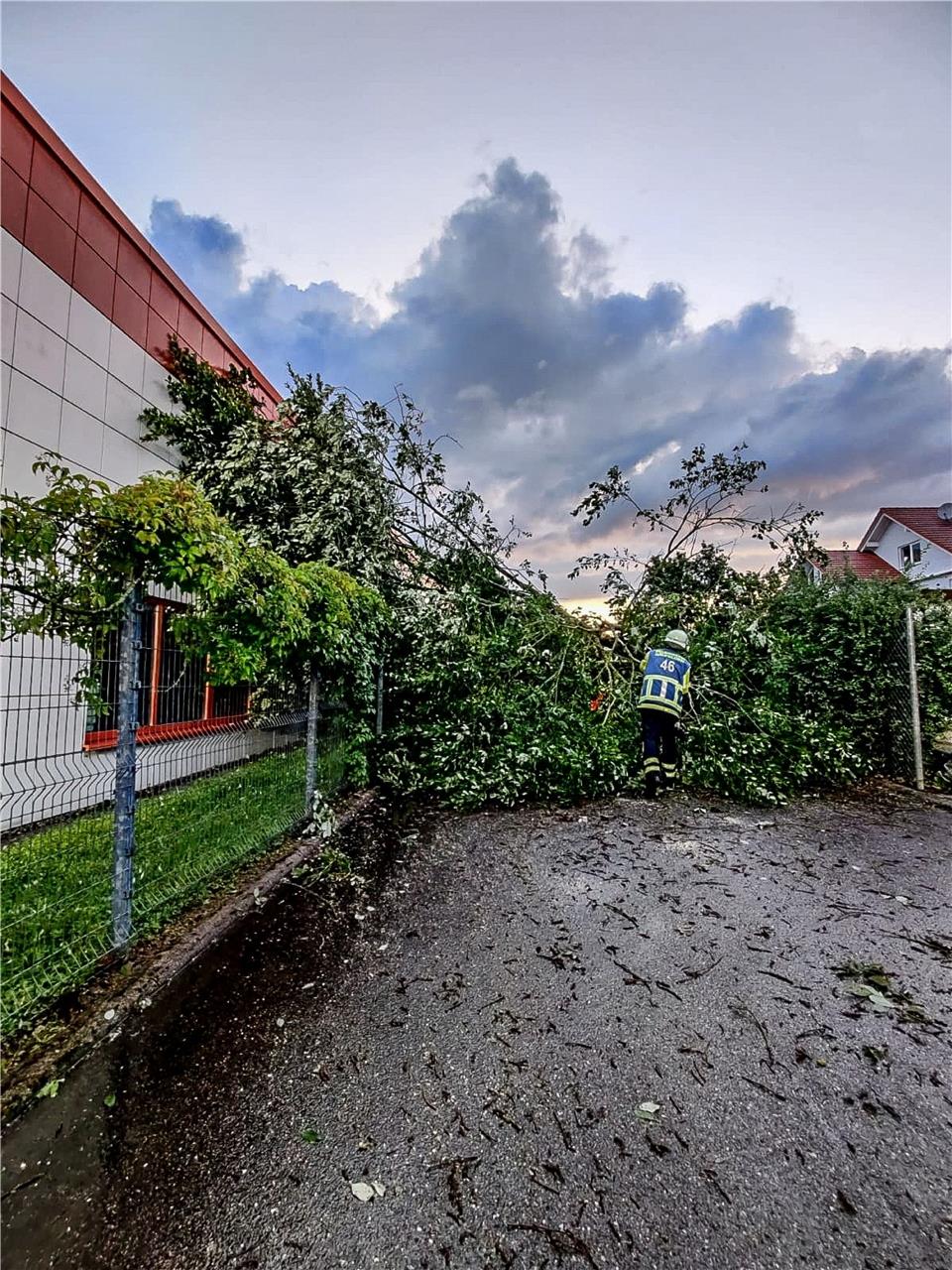 In Nebringen fiel ein großer Baum auf einen Industriebetrieb