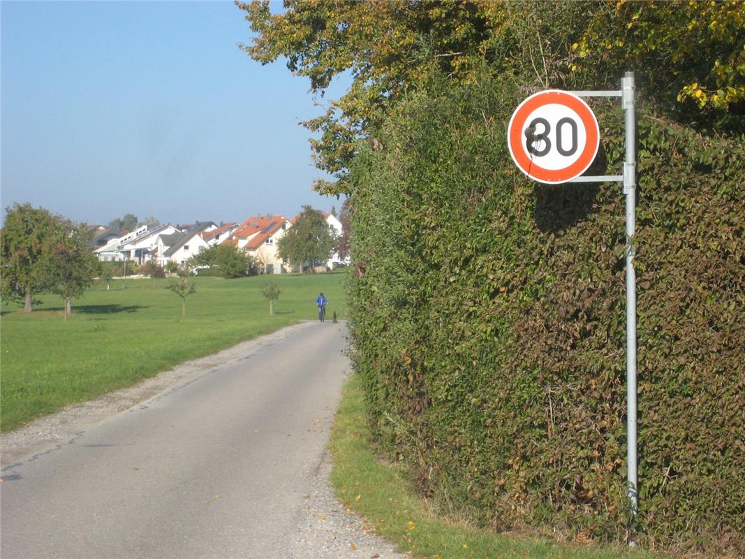 "In Oberjettingen regieren bei der Verkehrsregelung auch schon mal Pinsel und Fa...