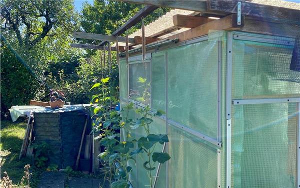 In dem Rechtsstreit ging es unter anderem um das Gewächshaus und um den Schuppen. GB-Foto: gb