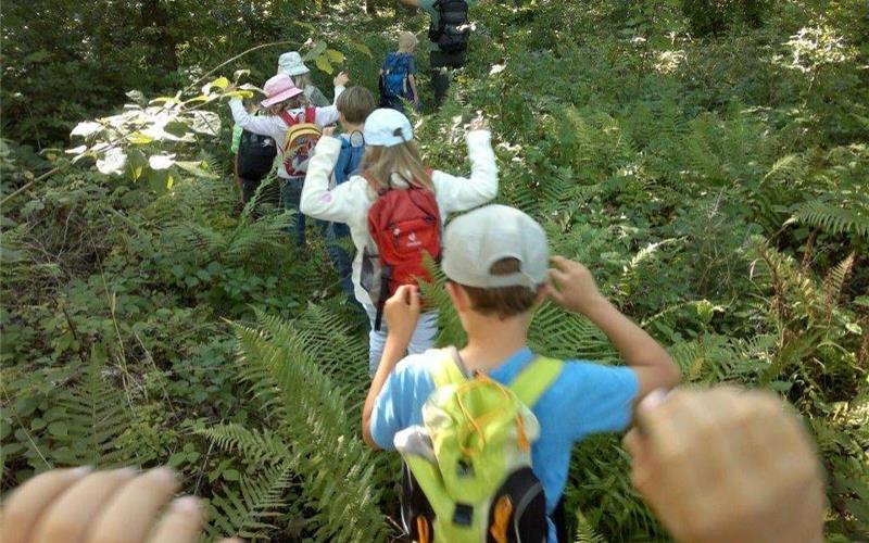 In der verlässlichen Grundschule in Mötzingen ist den Kindern nicht langweilig. Auch Ausflüge und Waldbesuche stehen auf dem Programm. GB-Foto: gb