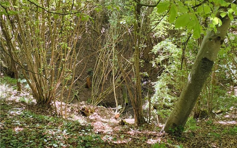 In die sogenannte Herrgottscheuer, der tiefsten Doline, geht es steil hinunter. GB-Fotos: Straub