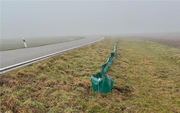 Inzwischen steht der Amphibienschutzzaun entlang der K1037. GB-Foto: gb