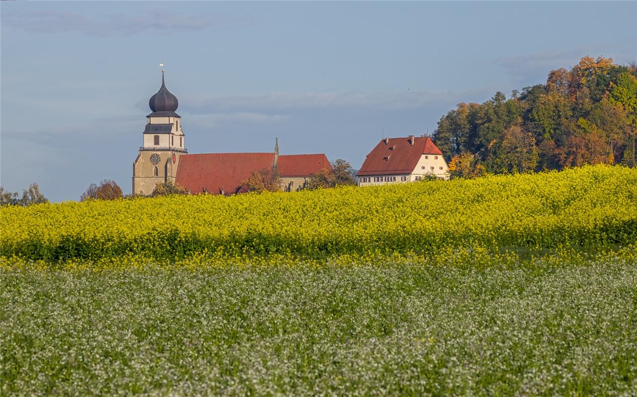 "Irgendwie fühle ich mich wie im Frühling", sagt die Sindlingerin Sonja Sayer zu...