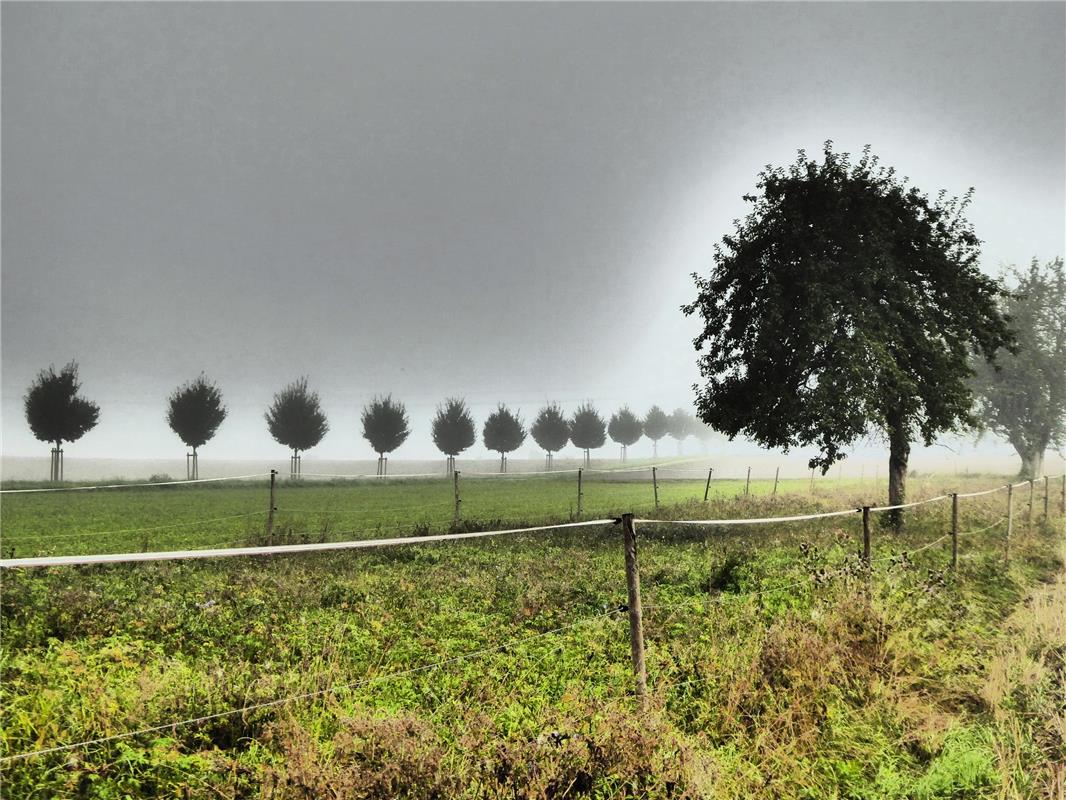 Ist das der erste Herbstnebel, den Hans-Joachim Borowy beo Rohrau fotografiert h...