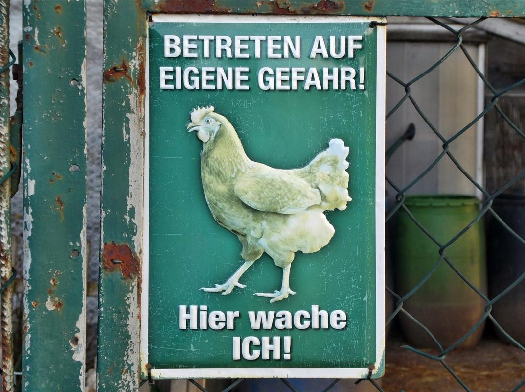 Ist das ein Hofhund, der krähen kann, oder ein Gockel, der das Bellen erlernt ha...