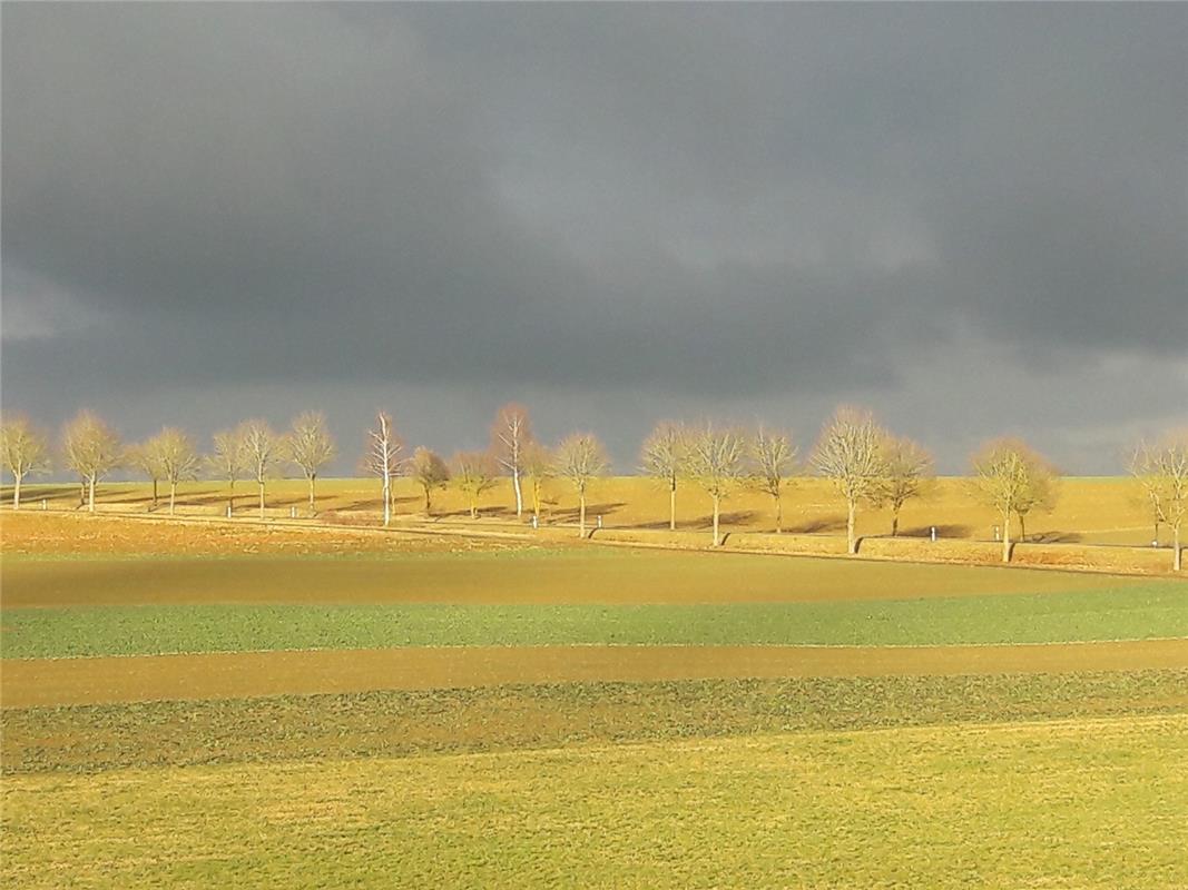 Ist es ein Aquarell oder ein Foto? Diese Nachmittagsstimmung am letzten Herbstta...