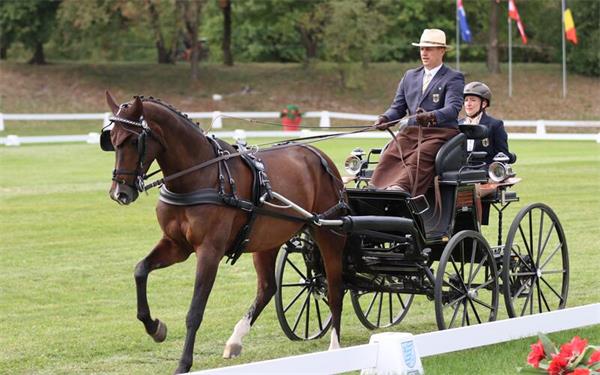 Jens Motteler (mit Beifahrerin Sabrina Kiefer und Fahrpferd Calida) startete in München mit Platz 29 nach den Dressuren erfolgreich in die Einspänner-WM. GB-Foto: fh