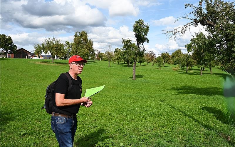 Jettingens Bürgermeister Hans Michael Burkhardt steht auf dem Gebiet „Wasenäcker“, das zumindest teilweise als Obstbaumwiese gilt und deshalb nach dem Biodiversitätsstärkungsgesetz wahrscheinlich nicht zu Bauland werden kann.GB-Foto: Reichert