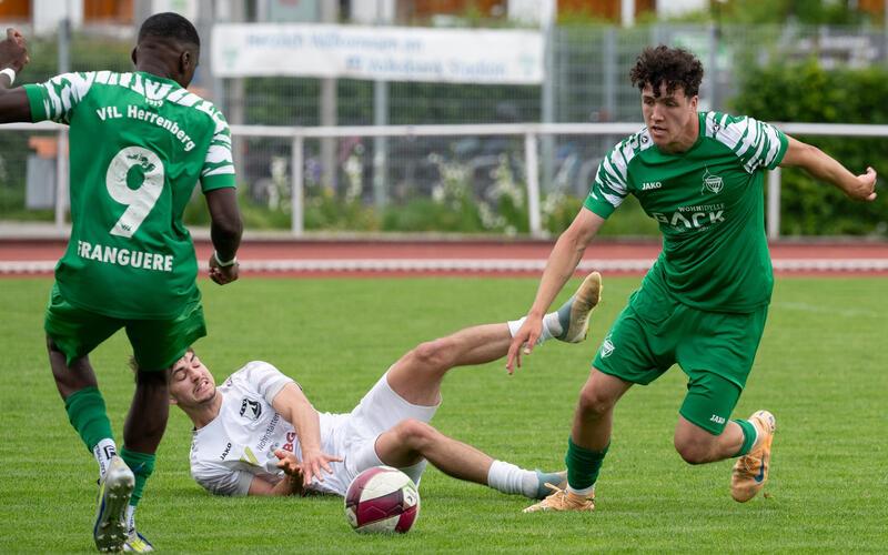 Josias Hartmann (rechts) im Vorwärtsgang: Herrenberg legte einen guten Beginn im später abgebrochenen Heimspiel hin. GB-Foto: Vecsey