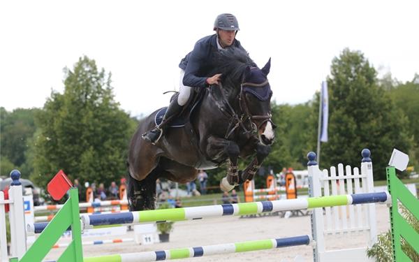 Julian Stahl (RC Aischbach Gültstein) gewann in Winnenden das ZweisterneM-Springen und kassierte auf Prinz Paolino im Großen Preis einen Fehler und wurde Final-Fünfter. GB-Foto: Häusler