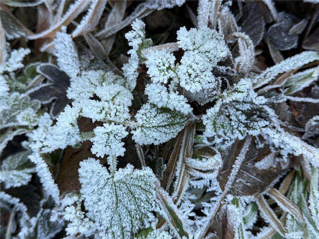 Kältegemälde.  Von Sabine Steinmann aus Gärtringen.