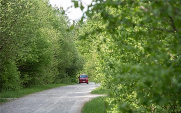 Käme es zu Windrädern im Kuppinger Wald, bevorzugt der Ortschaftsrat die Zuwegung über das Königsträßle. GB-Foto: Vecsey