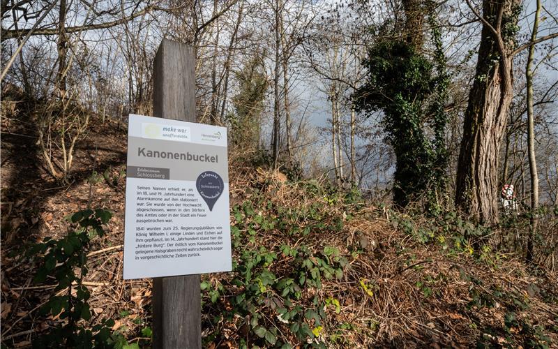 Kanonenbuckel auf dem Schlossberg: Auch hier sind Baumpflegemaßnahmen geplant.GB-Foto: Schmidt