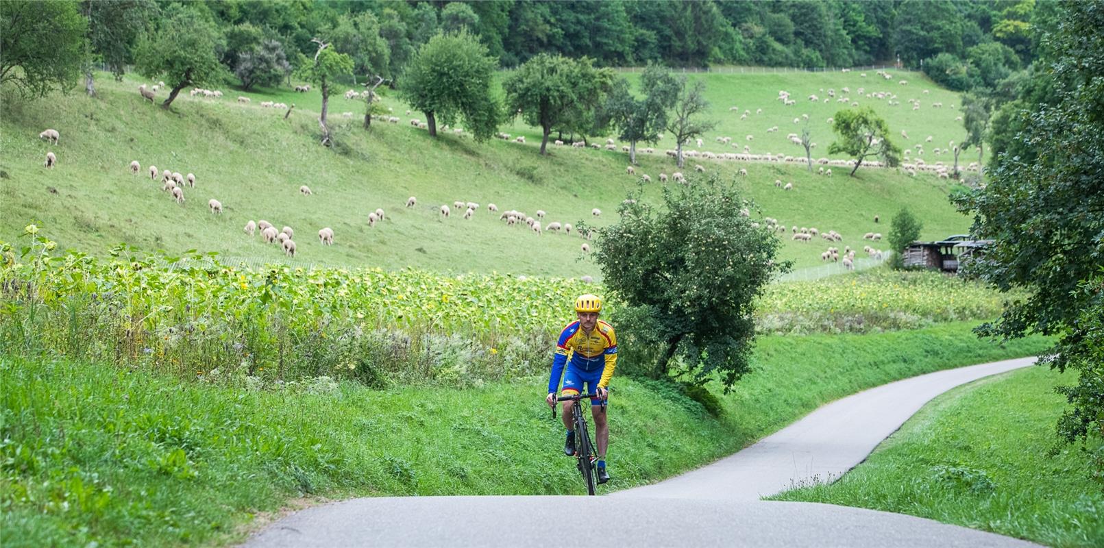 Karl Friesch Öschelbronn Bergzeitfahren Wildberg 8 / 2020 Foto: Schmidt