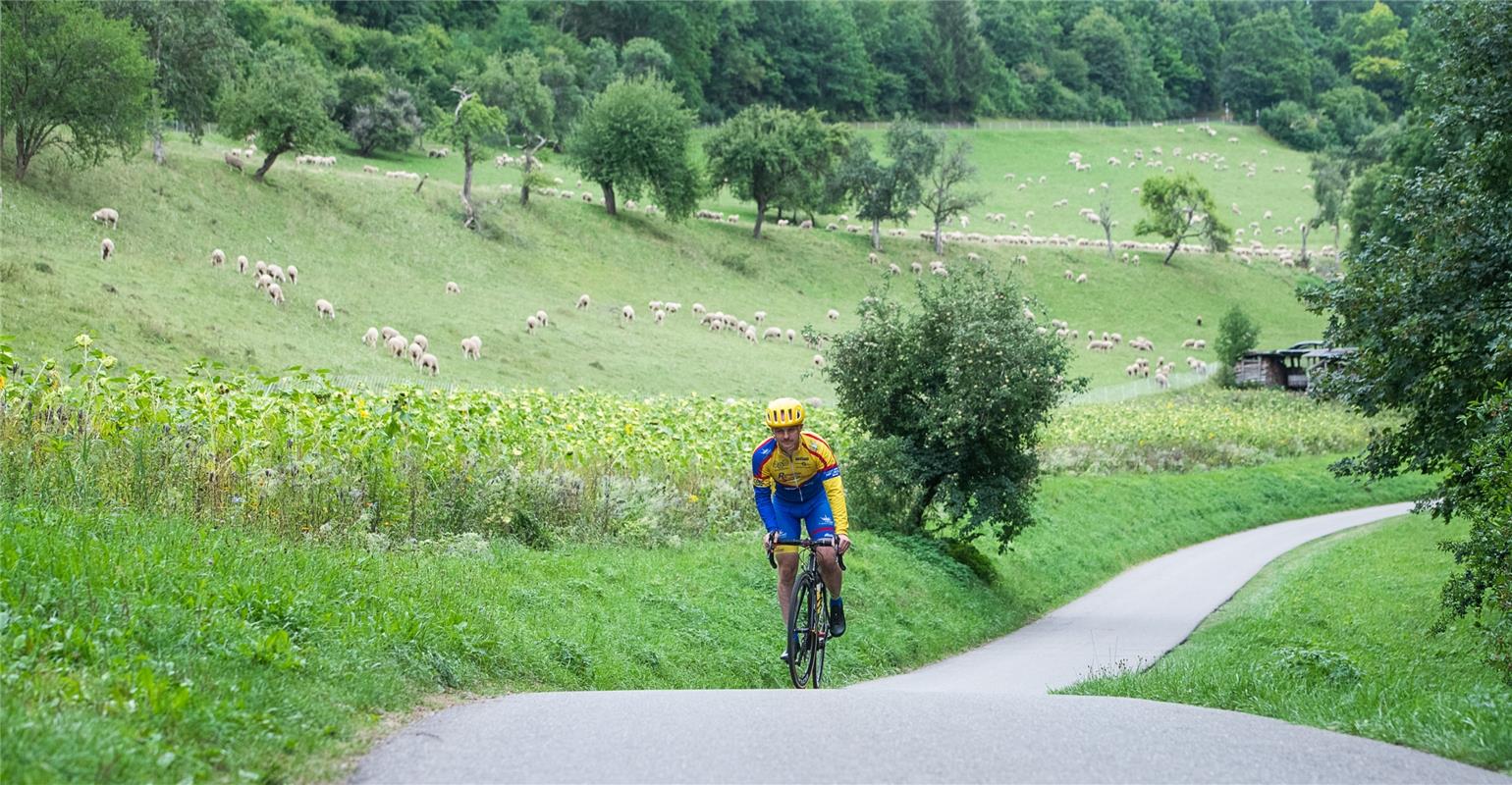 Karl Friesch Öschelbronn Bergzeitfahren Wildberg 8 / 2020 Foto: Schmidt