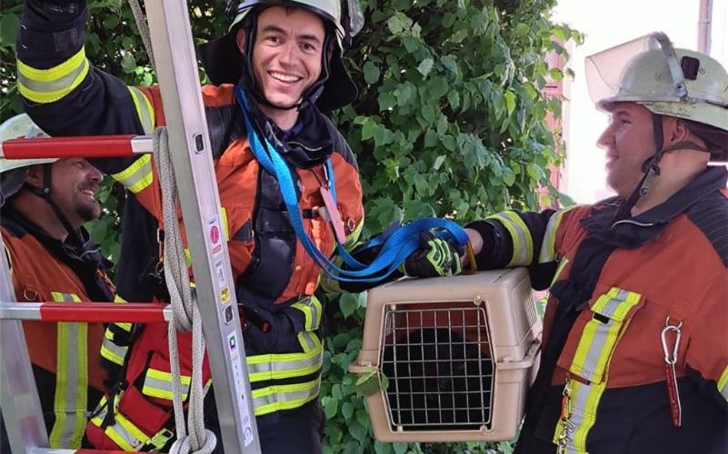 Herrenberger Feuerwehr an der Belastungsgrenze Katze erfolgreich vom Baum gerettet!GB-Foto: Feuerwehr