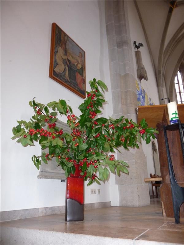 Kirschen-Schmuck in der Entringer Michaelskirche schickt Reinold Bauer ein. 