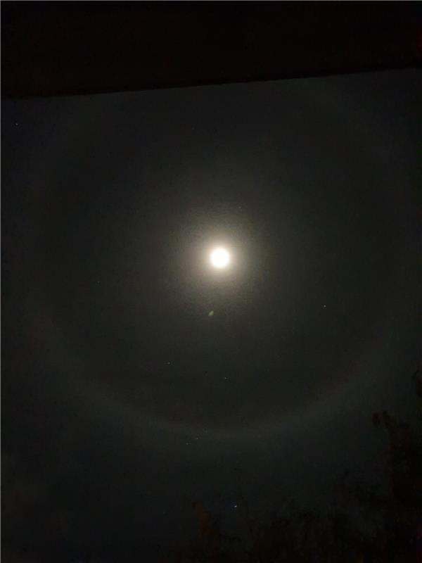 Klaus Probst aus Reusten schreibt: "Der Mond mit Halo-Ring gestern Abend."
