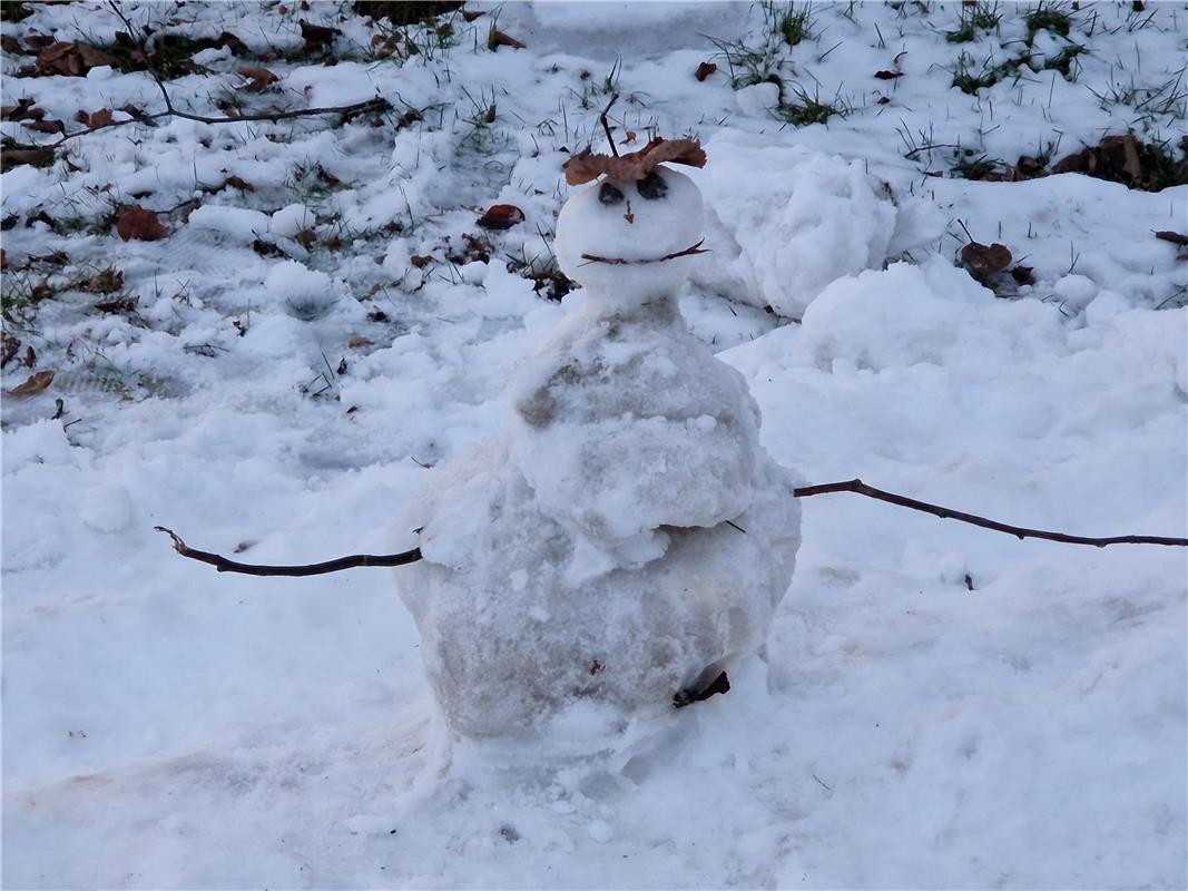 Kleiner Schneemann trotzt dem Tau zu verfallen. Von Beate Lutz aus Jettingen.